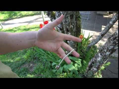 Mic Drop Variation C