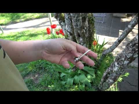 Mic Drop Variation B