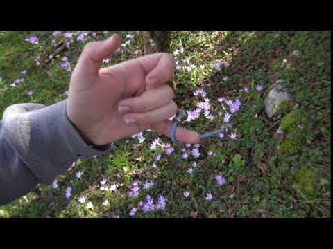 Slingshot Rock N Roll Drop